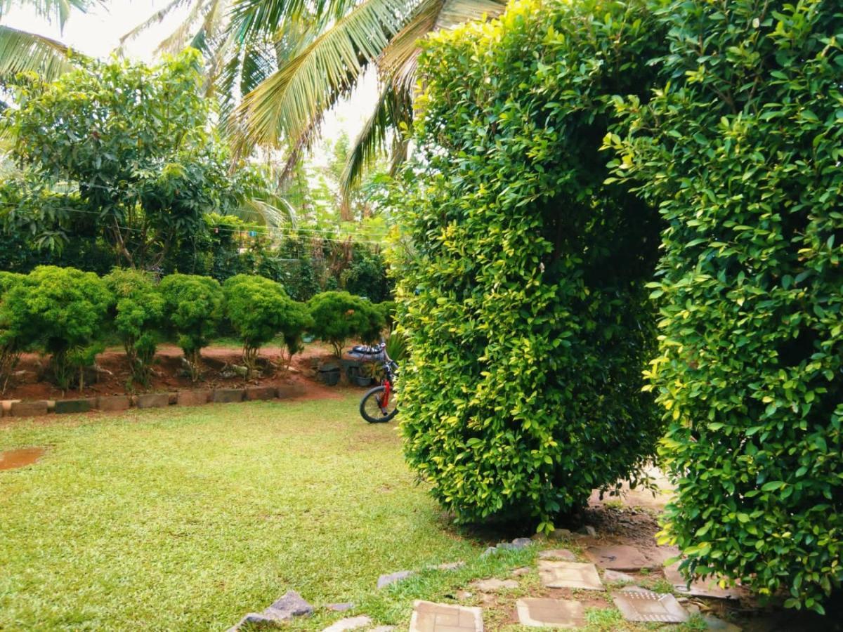 Green Bird Mirissa Exterior foto