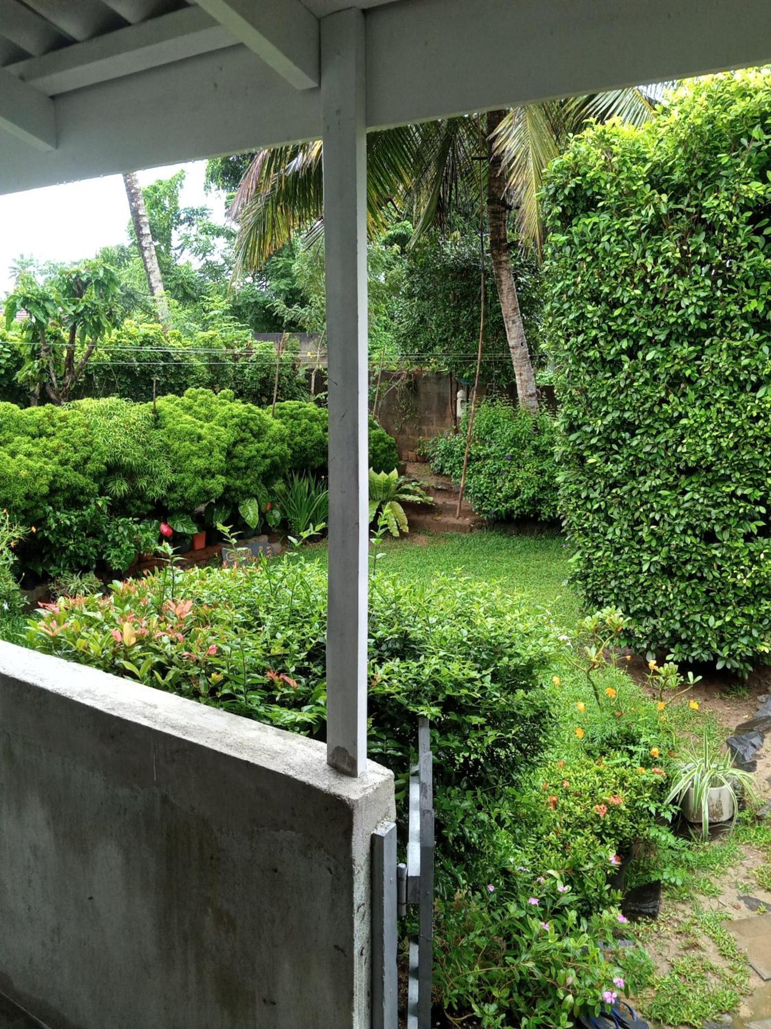 Green Bird Mirissa Exterior foto